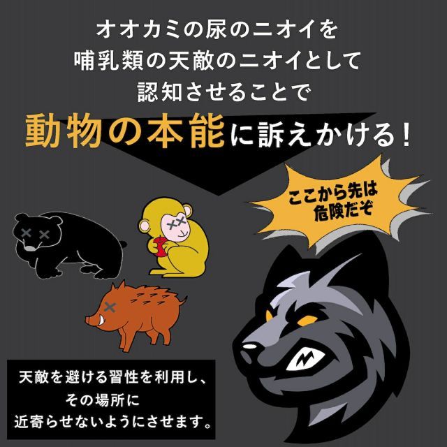 猪