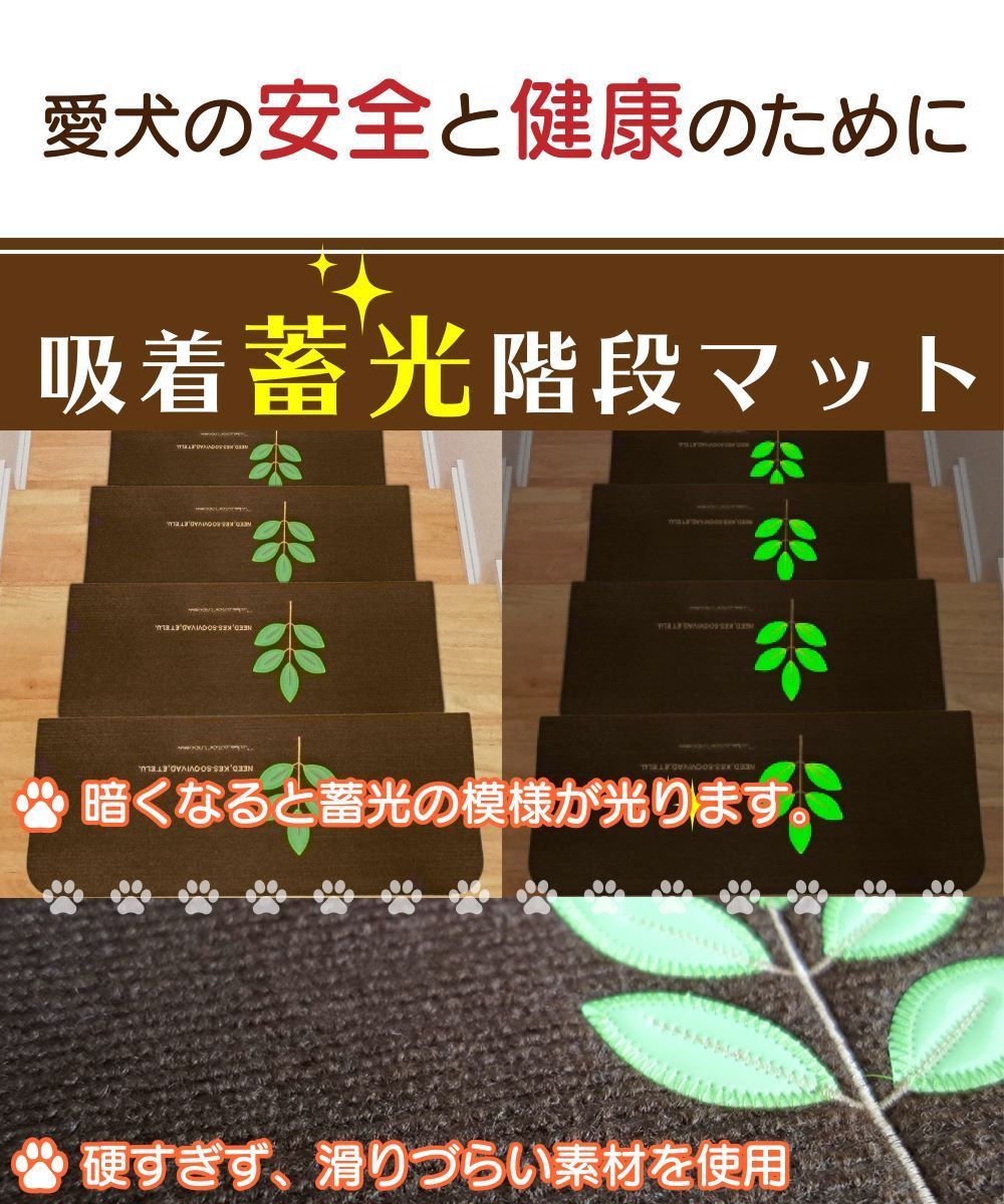 夜行性 光る