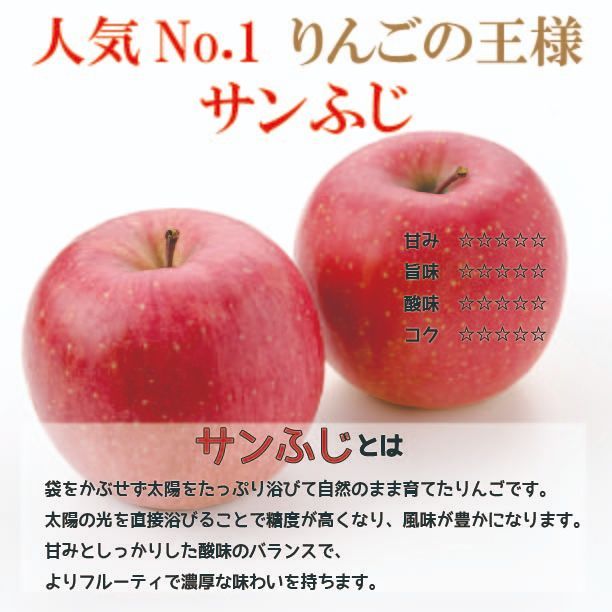 クール冷蔵便！　青森県産　りんご　訳あり　スマートフレッシュ！　10kgセット　王林5kg12-25玉程度 ・有袋ふじ5kg12-25玉程度
