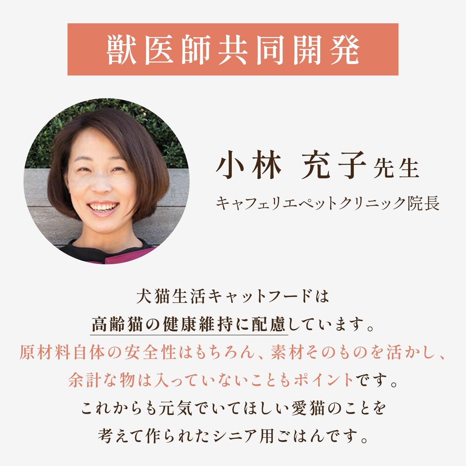 シニア猫 おやつ