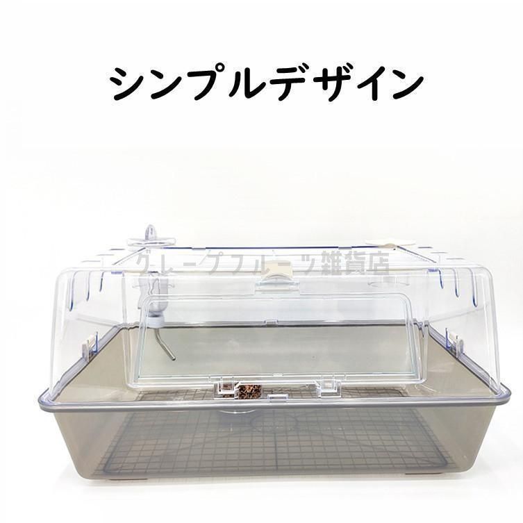 広い 透明