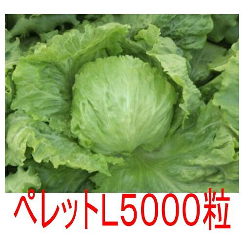 入荷次第出荷 カネコ種苗 ワンダフル レタス ペレットＬ５０００粒