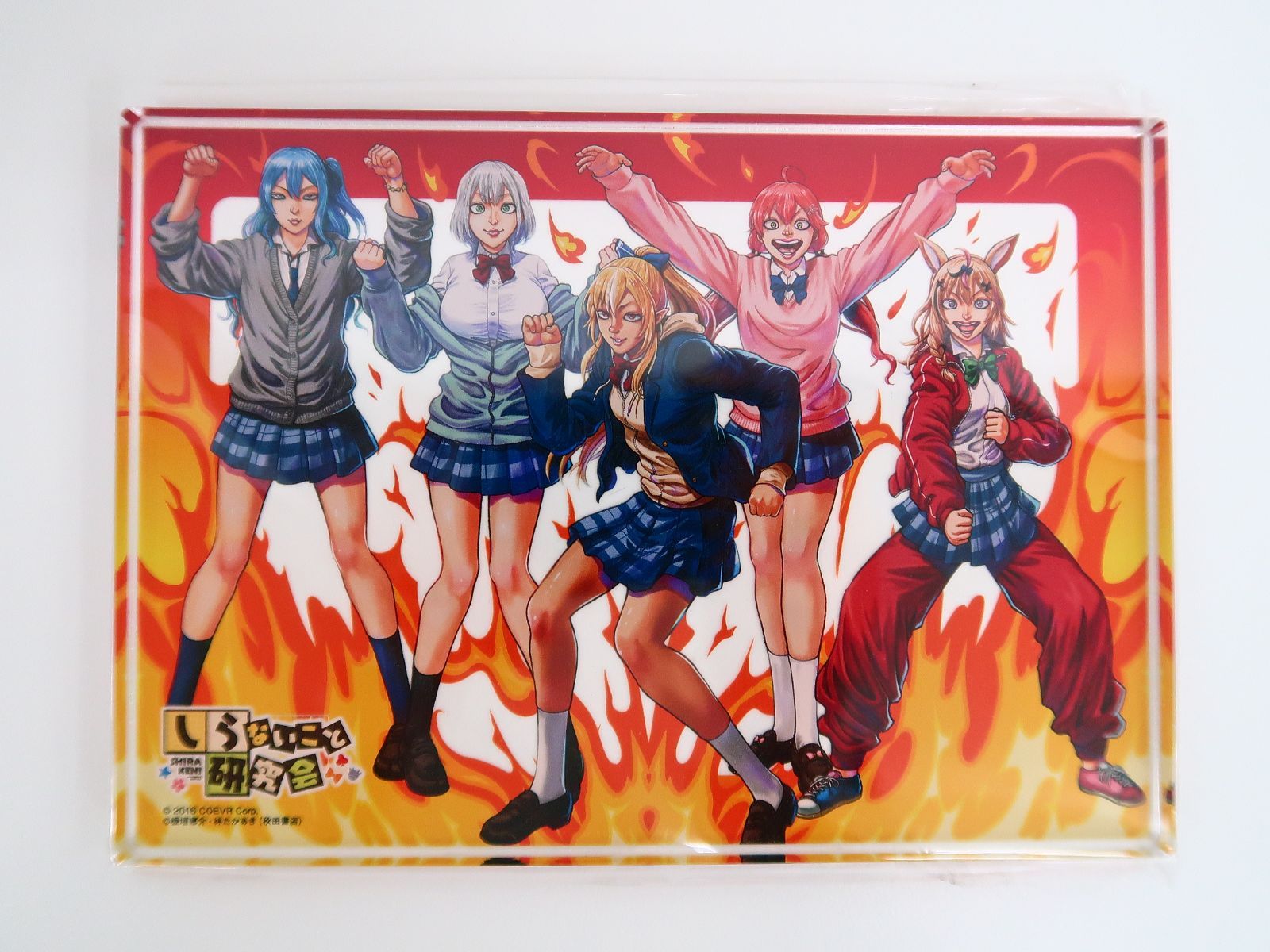 バンドリ ゆめみた 仲町あられ 箔入りA4アクリルボード JR東海推し旅