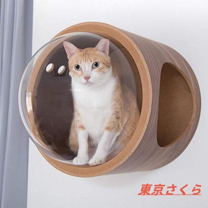 キャットハウス 宇宙カプセル