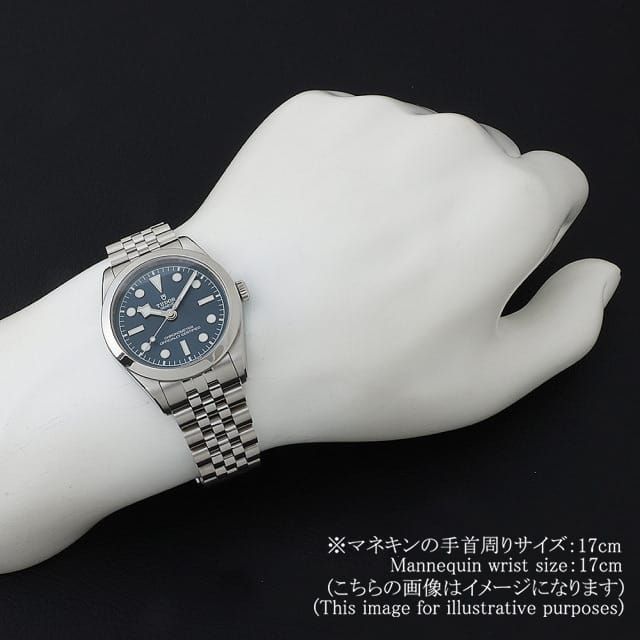 チューダー ブラックベイ36 79640 自動巻き ステンレス