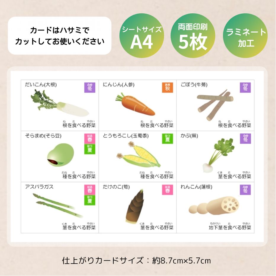 野菜・果物カード 小学校受験教材 理科的常識 幼児教育 知育 断面図 旬の季節 - メルカリ