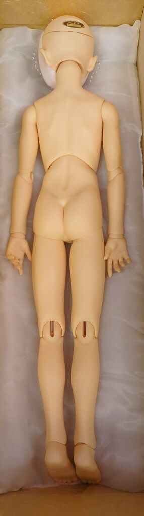 ボークス SD13男の子 ワンオフモデル セシル (箱と付属品は