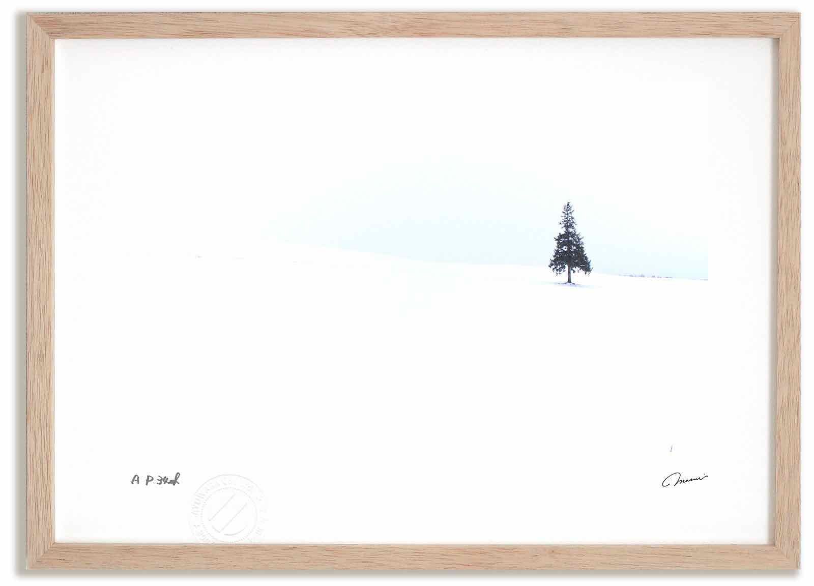 アートフォト 絵画 ツリーの木6 高橋真澄 インテリア 額入り 額装込 風景画 油絵 ポスター アート アートパネル リビング 玄関 プレゼント モダン アートフレーム 飾る Mサイズ おしゃれ 壁掛け 絵