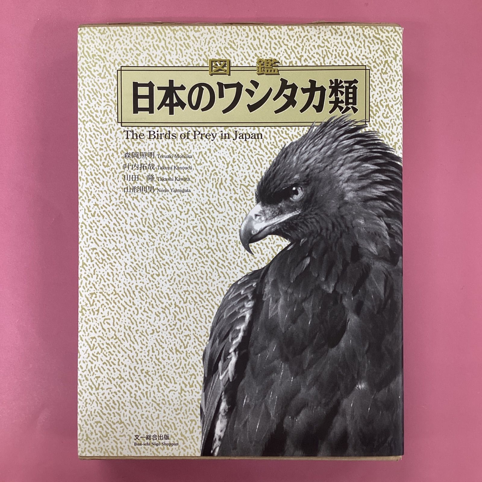 図鑑 日本のワシタカ類 広