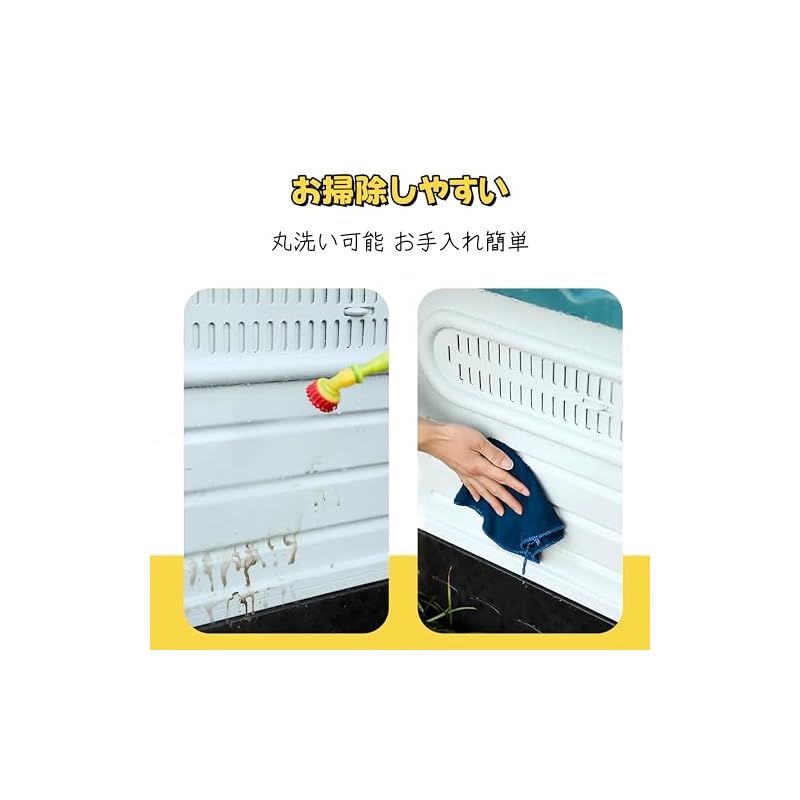 裏庭