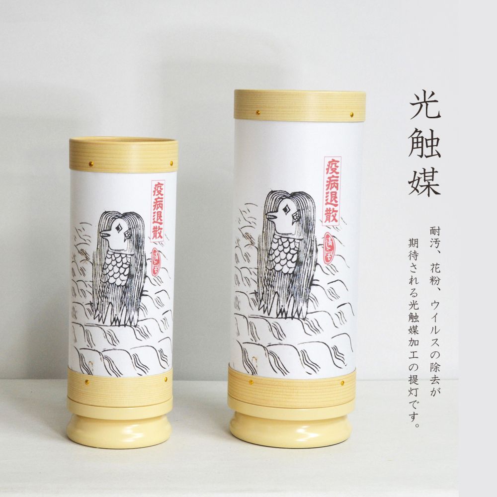 コントラバス弦】 ペーター・インフェルド オーケストラチューニング