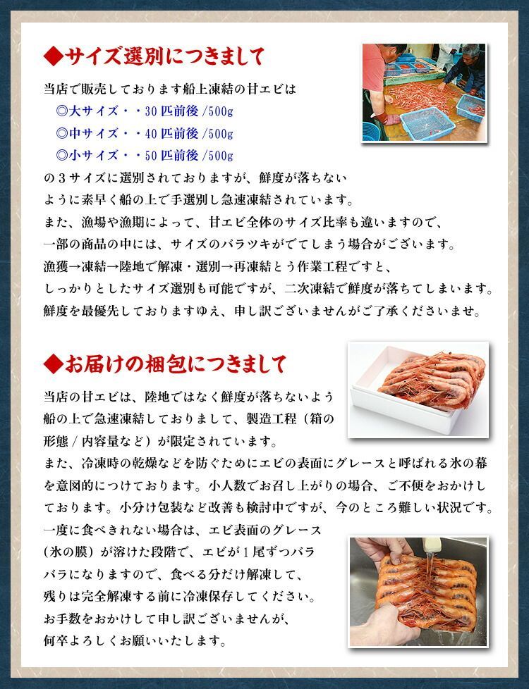 🦐 子持ち越前甘えび500g/約40尾入り【エビ】【えび】【海老】【あまえび】【アマエビ】【甘エビ】【甲羅組】