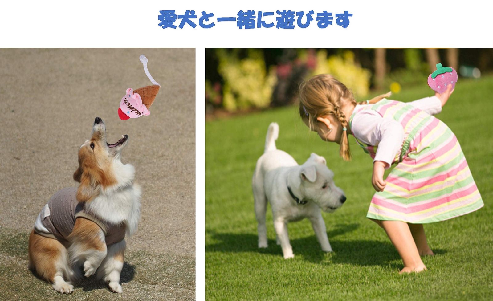 音がなるわんこ 特価商品 犬おもちゃ Bluestarz13923 音が鳴る ぬいぐるみ（10点セット