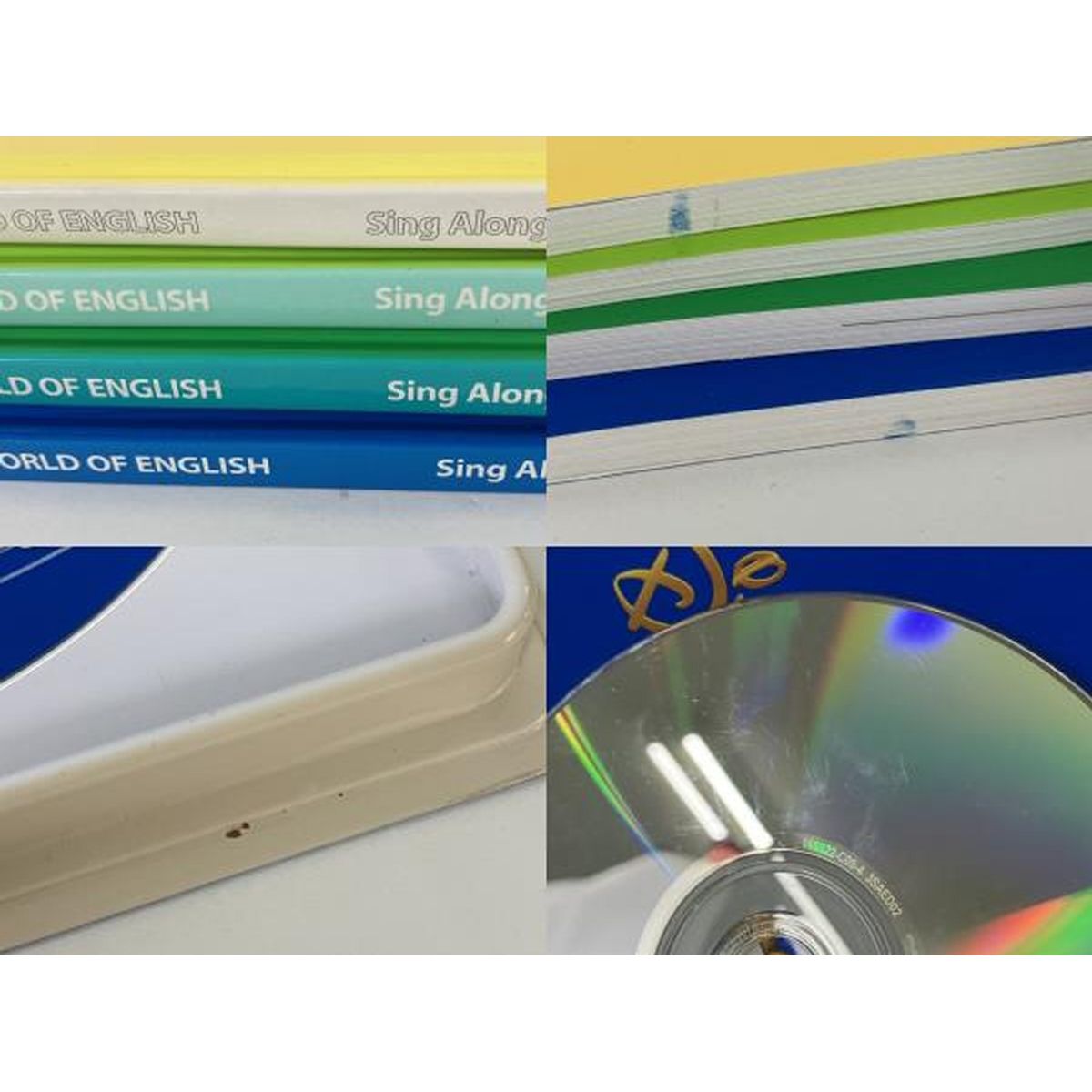 DWE シングアロング 2015年頃 DVD版 ディズニーワールドオブ