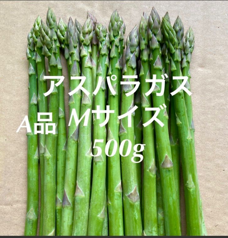 人気No.1 信州産アスパラガス 太め 500g alassema-group.com