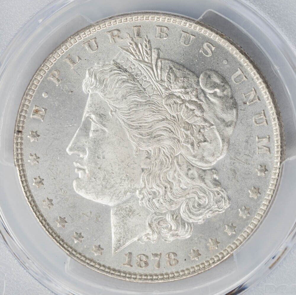 Silver Dollar