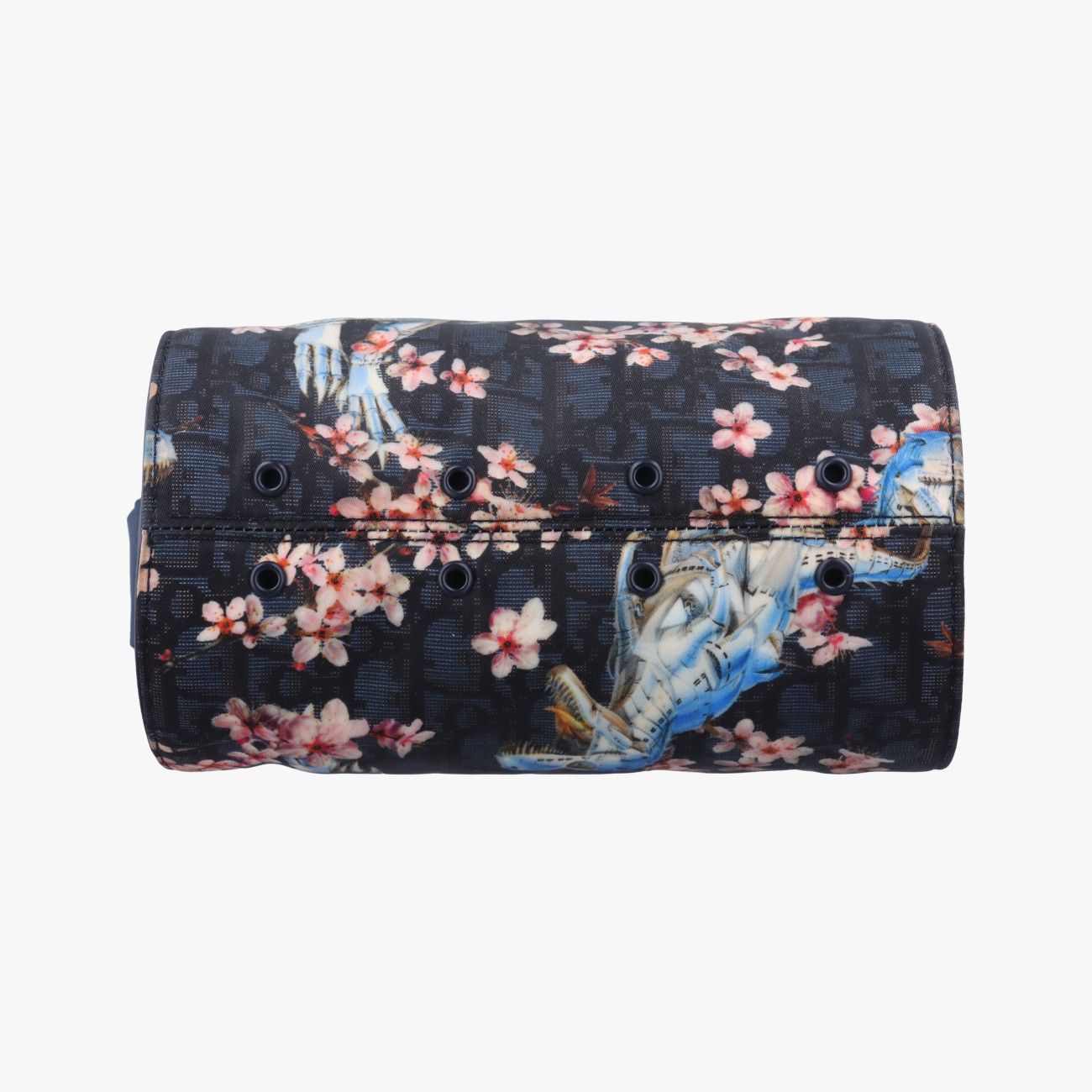 ダイノソーブラック×マルチ