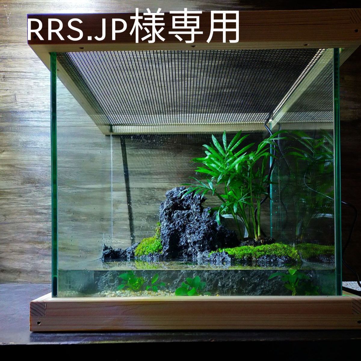 滝の流れるイモリウム ちーぃ様専用 No.679-