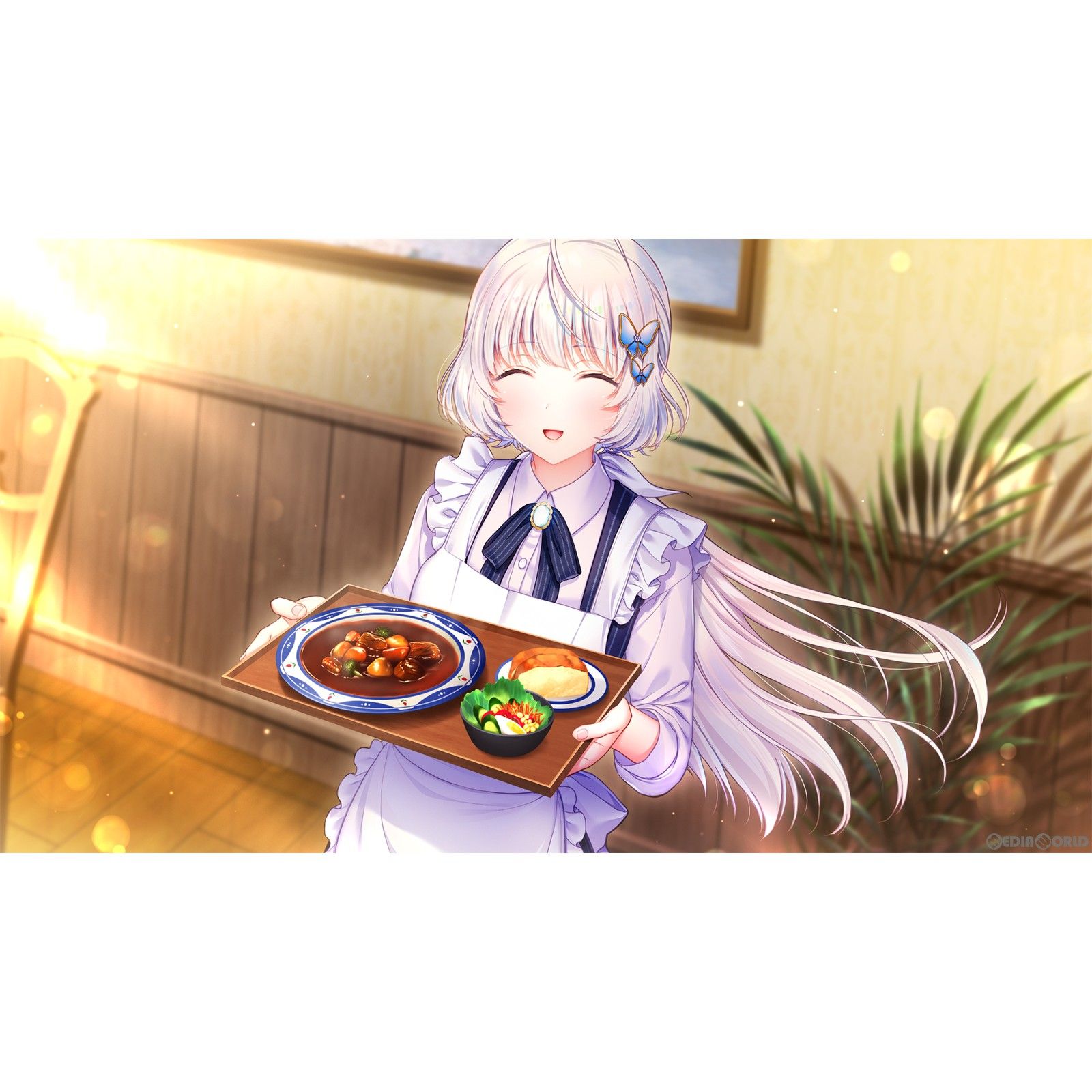 DREAM - Nintendo Switch スイッチソフト2045、月より。 The Butterfly Dream 完全生産限定版 エンターグラム Nintendo Switch スイッチ ソフト 2045、月より。 The Butterfly