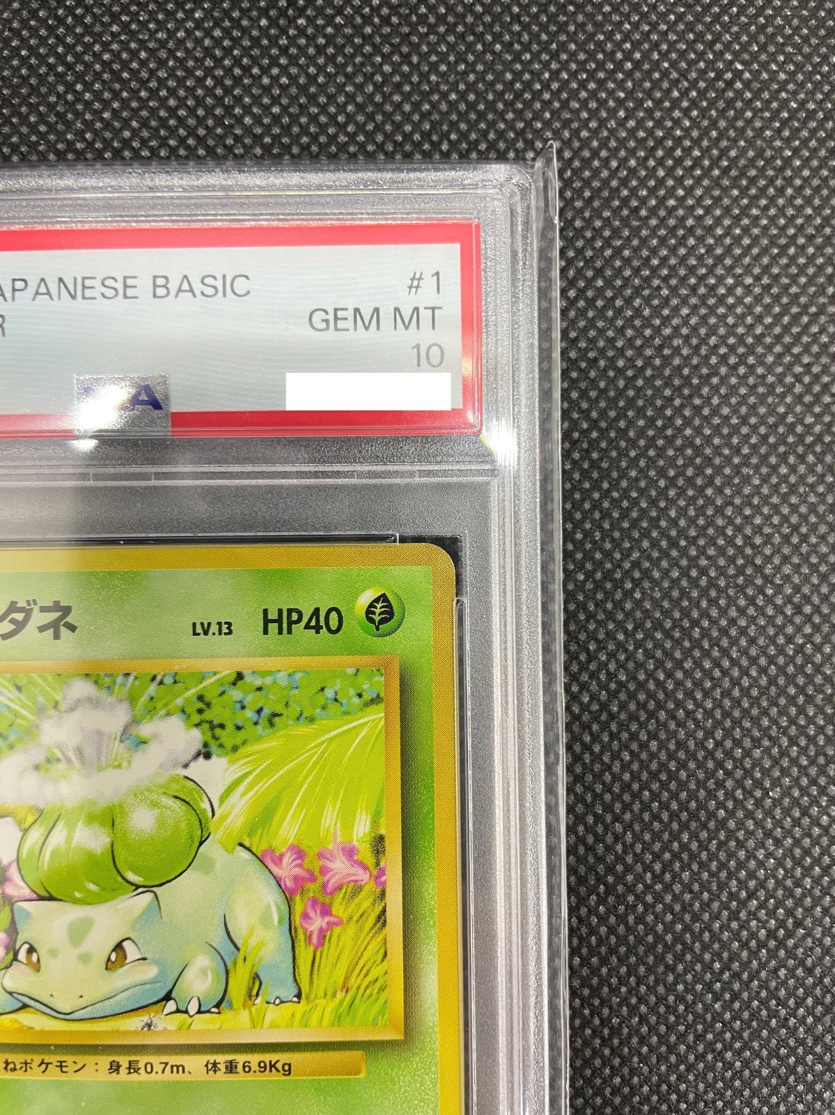 PSA鑑定品】旧裏 フシギダネ LV.13 PSA10 ポケモンカード 拡張パック第一弾 - メルカリ