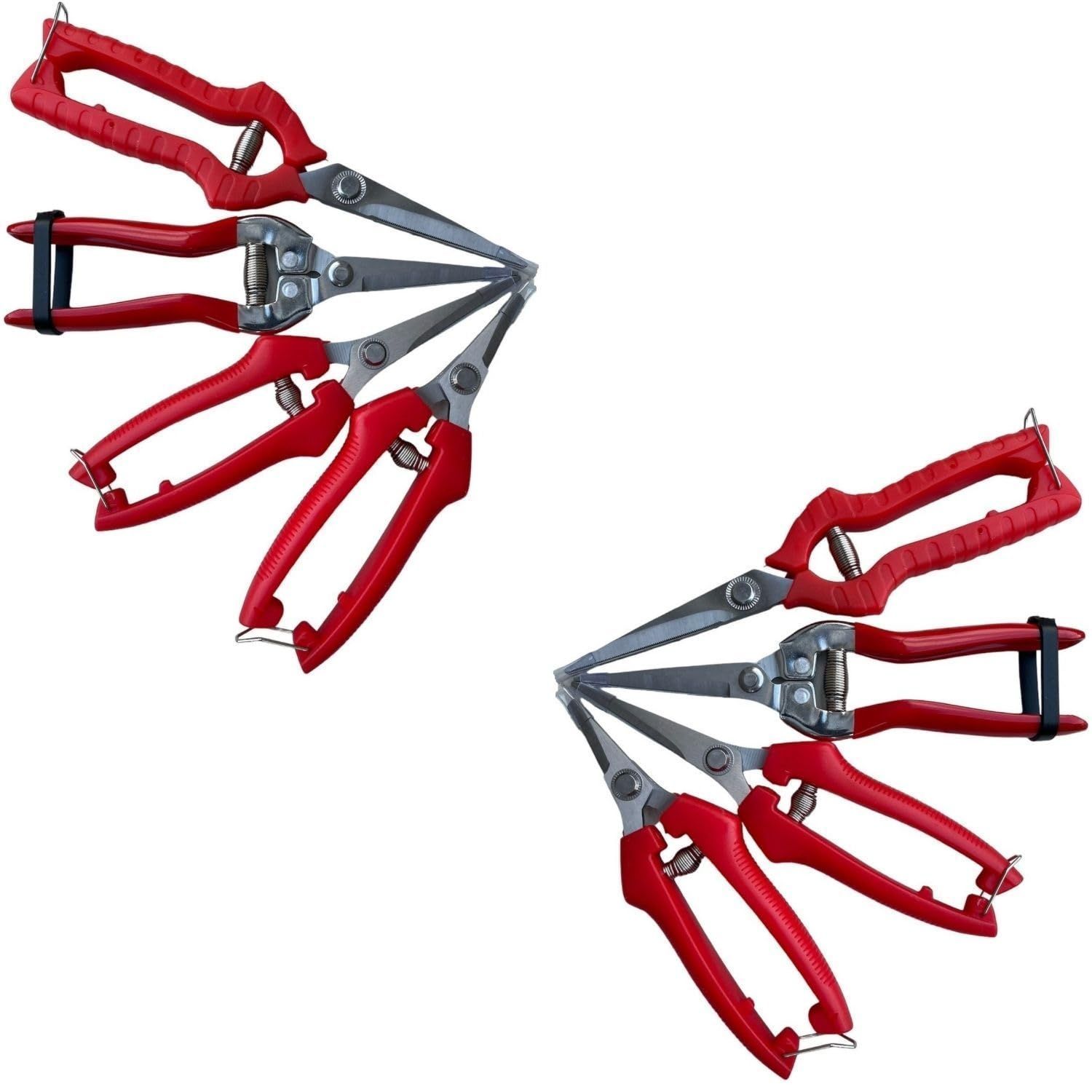 AMYAILE GG Cut エイミエール ジージーカット 4箱