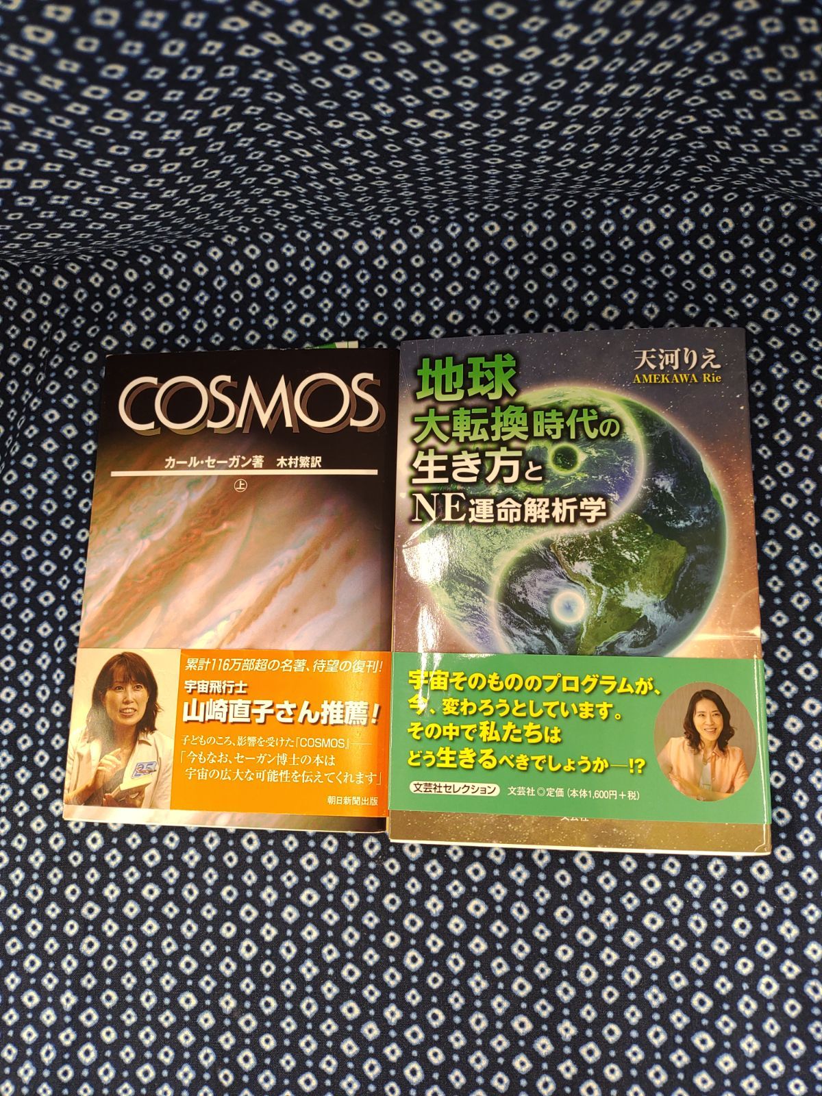 COSMOS E-495　地球大点眼時代劇な生き方とNE運命解析学　E-496