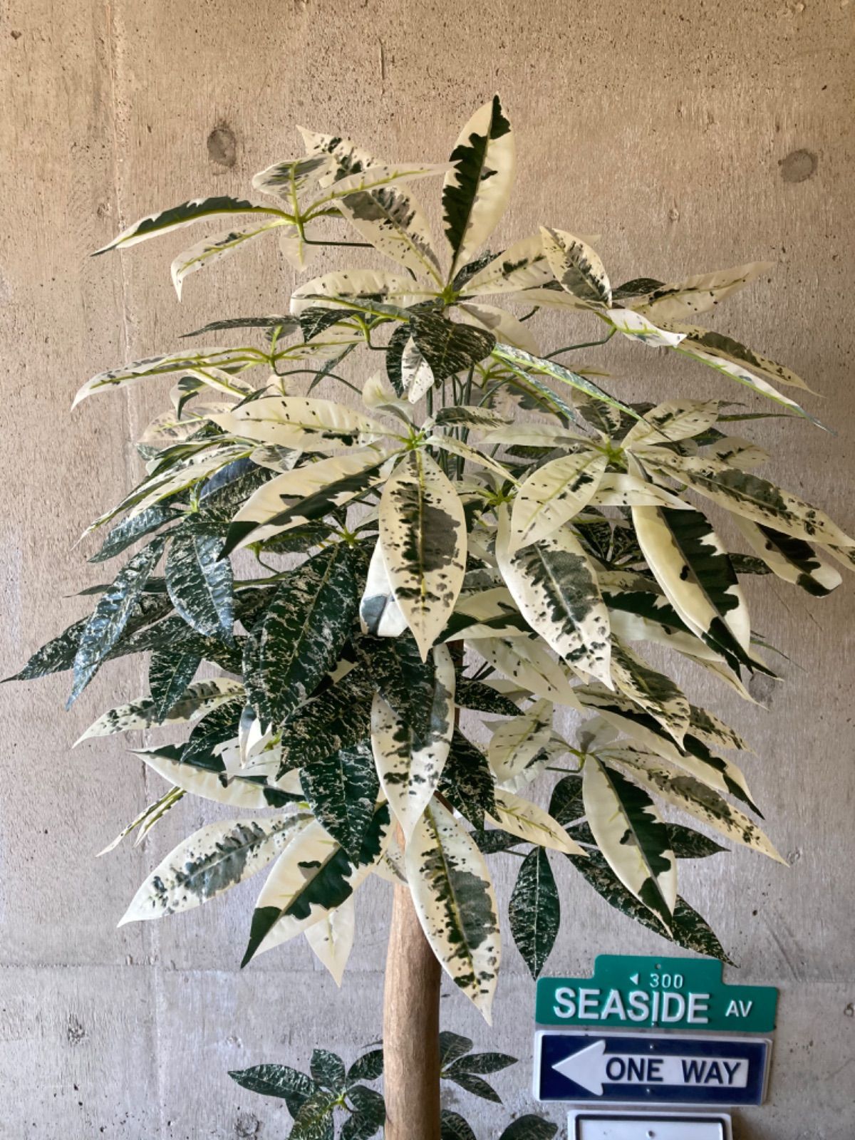 光触媒　人工観葉植物　ウォールグリーン　造花　インテリア　パキラ62