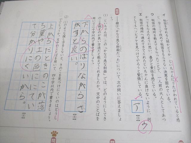 SAPIX