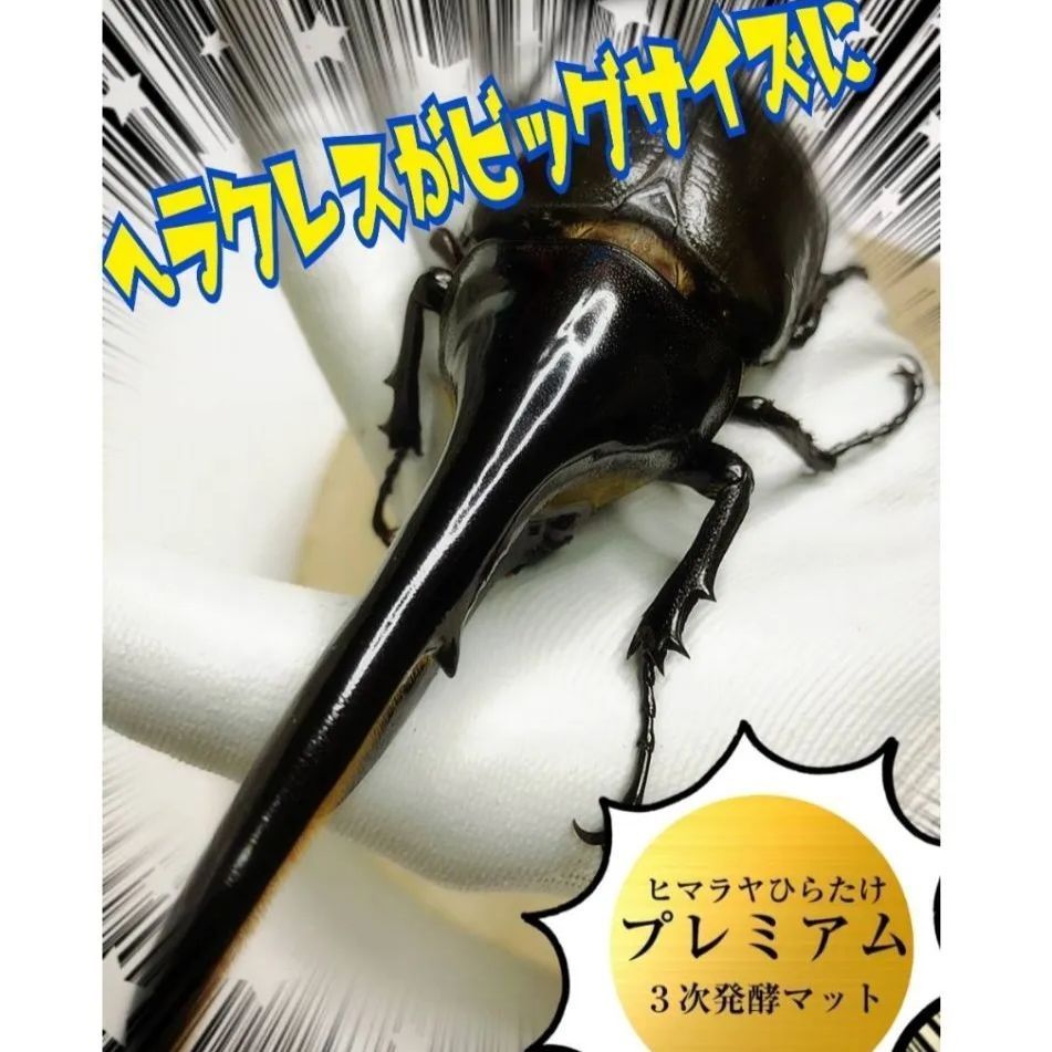 極上！プレミアム発酵カブトムシマット【50L】特殊アミノ酸強化配合