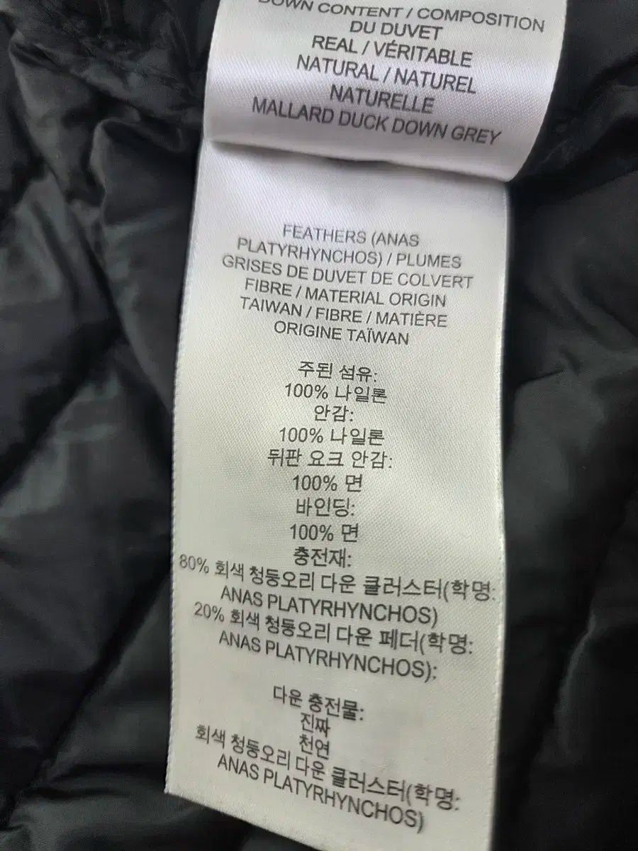 10Y バーバリーキッズ