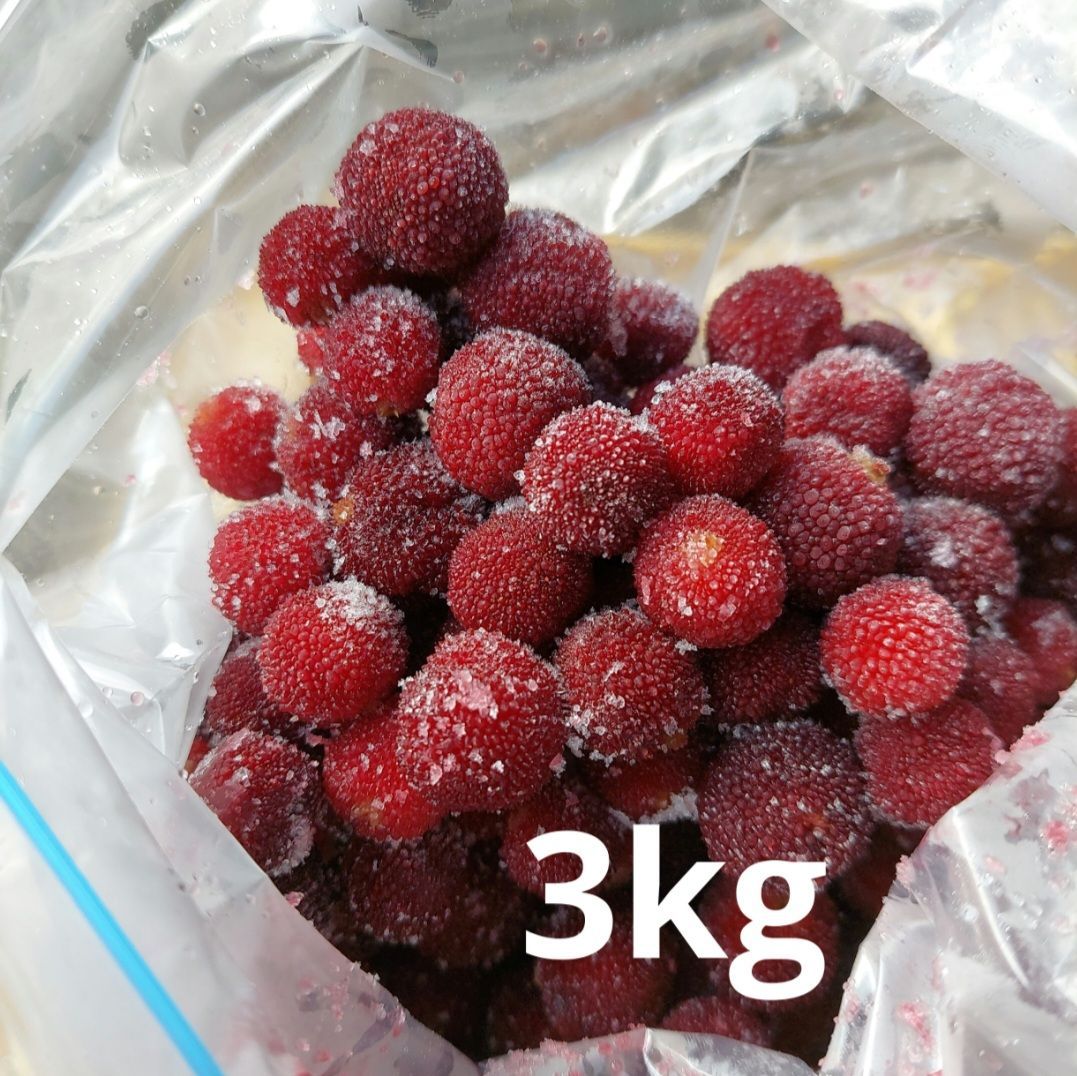高知県産 完熟 冷凍 やまもも 3kg 小粒 高知県産 完熟 冷凍 やまもも 3kg 小粒 - メルカリ