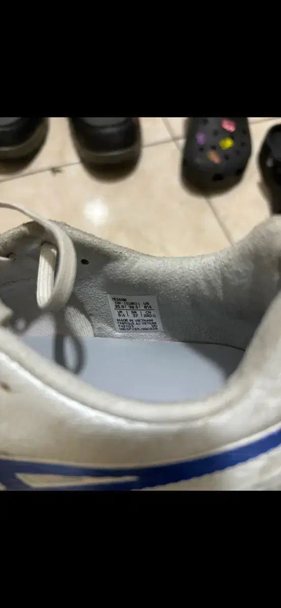 Asics アシックス DS Light AG サッカーシューズ サイズ 250 LLC-HASEGAWATOSO_COM