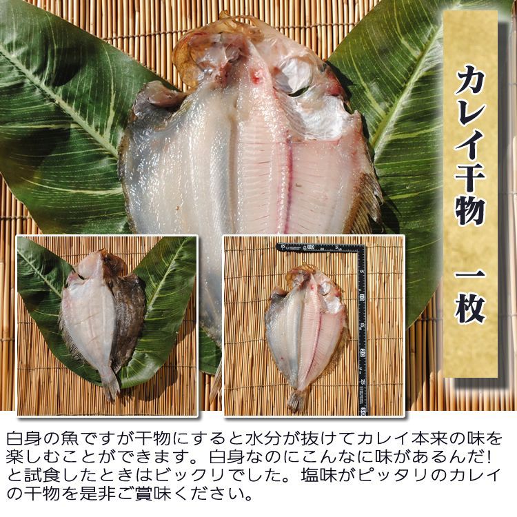旬彩干物セット【国産】　　　お取り寄せ 海鮮 グルメ 魚介類 産地直送 産直 自宅用 食品 プレゼント  贈答品  詰め合わせ 誕生日 送料無料  小田原  美味しい 訳あり 福袋 魚 保存食 開き 通販 高級