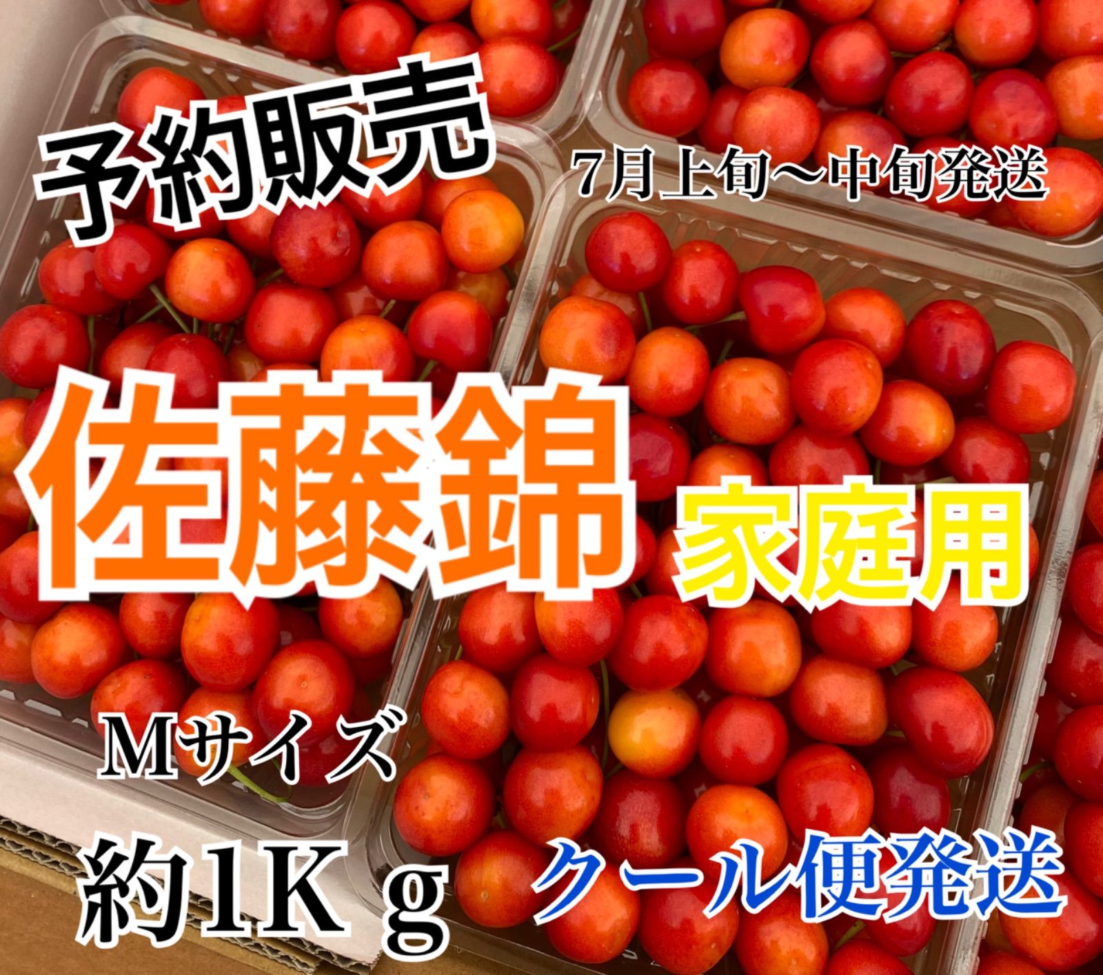 70％以上節約M27寒河江産 佐藤錦(無選別) サイズまちまち 正味1キロ