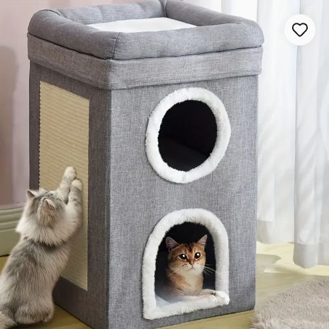 一年中ペットに適しています ペット猫の巣