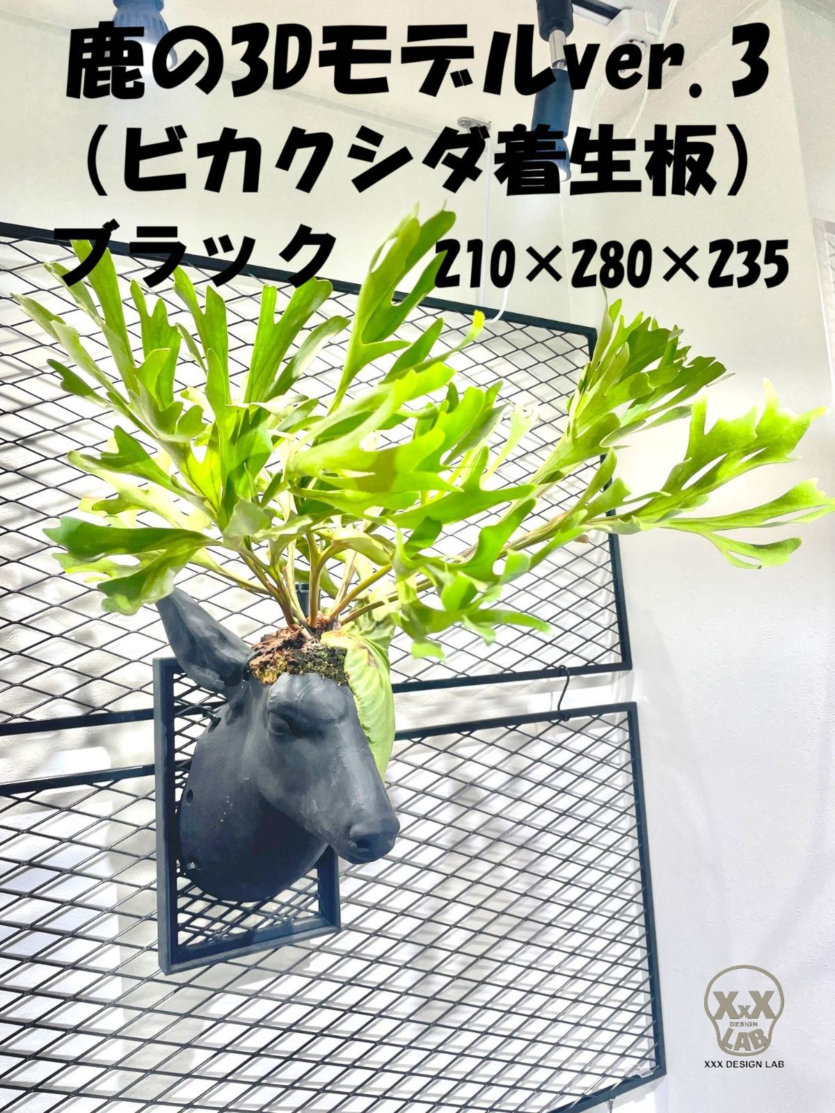鹿の3Dモデル ver.3 ビカクシダ着生板 ブラック 210×280×235