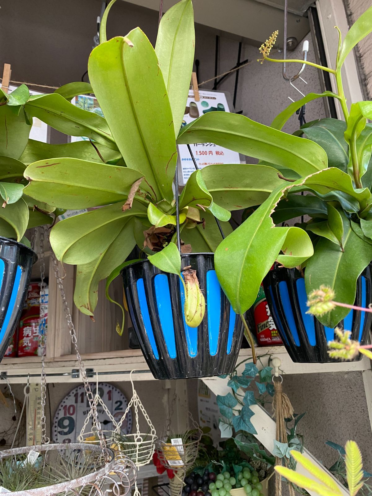 こども動物大百科3 草原の大きな動物 00-12