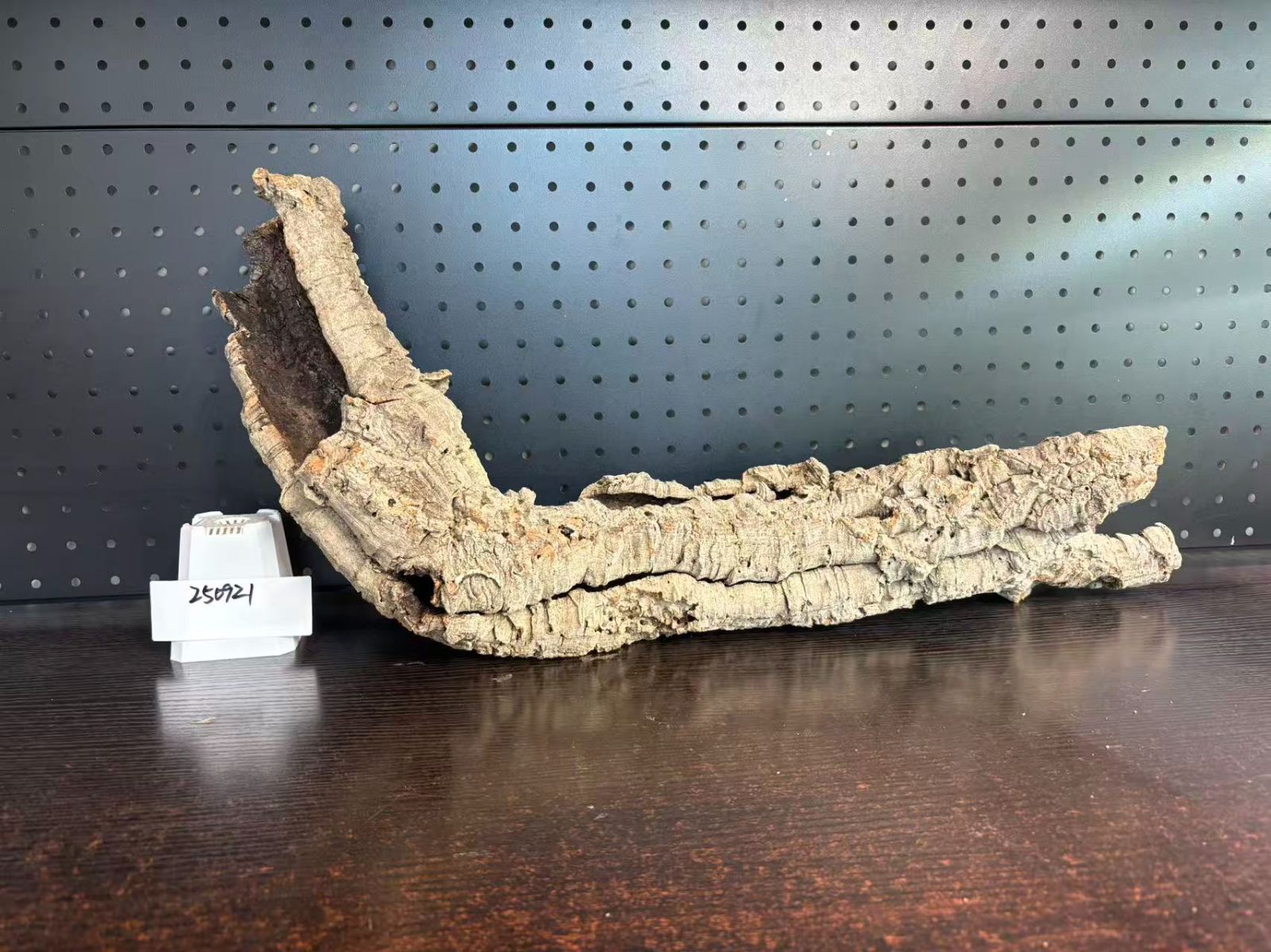 250921 ポルトガル産