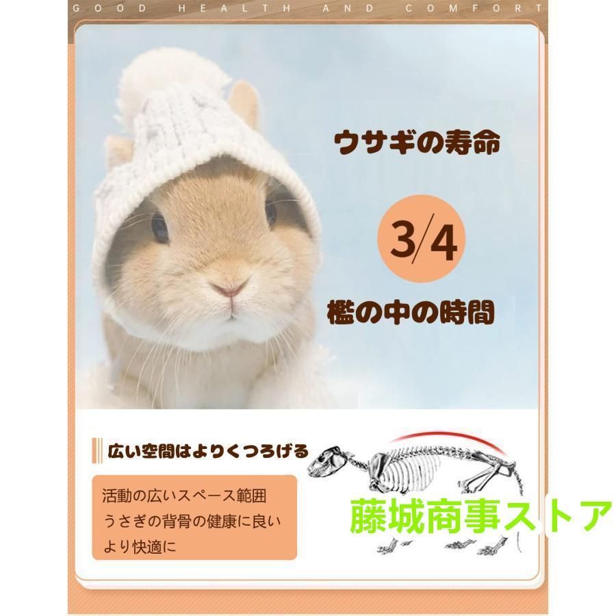 うさぎ