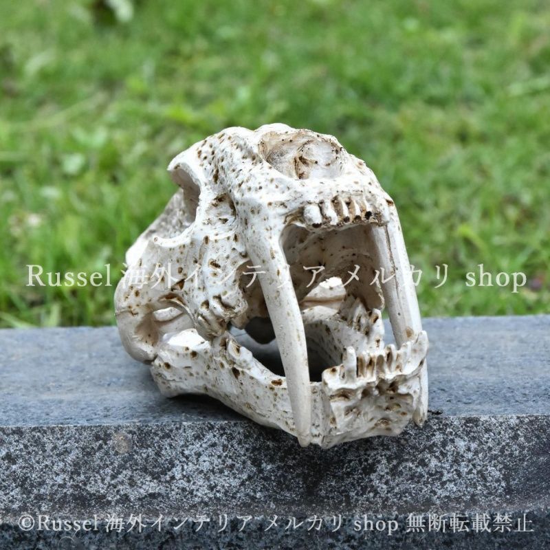 ガーデンオブジェ 恐竜 頭蓋骨風 樹脂 庭 骨 スカル 置物 ガーデン