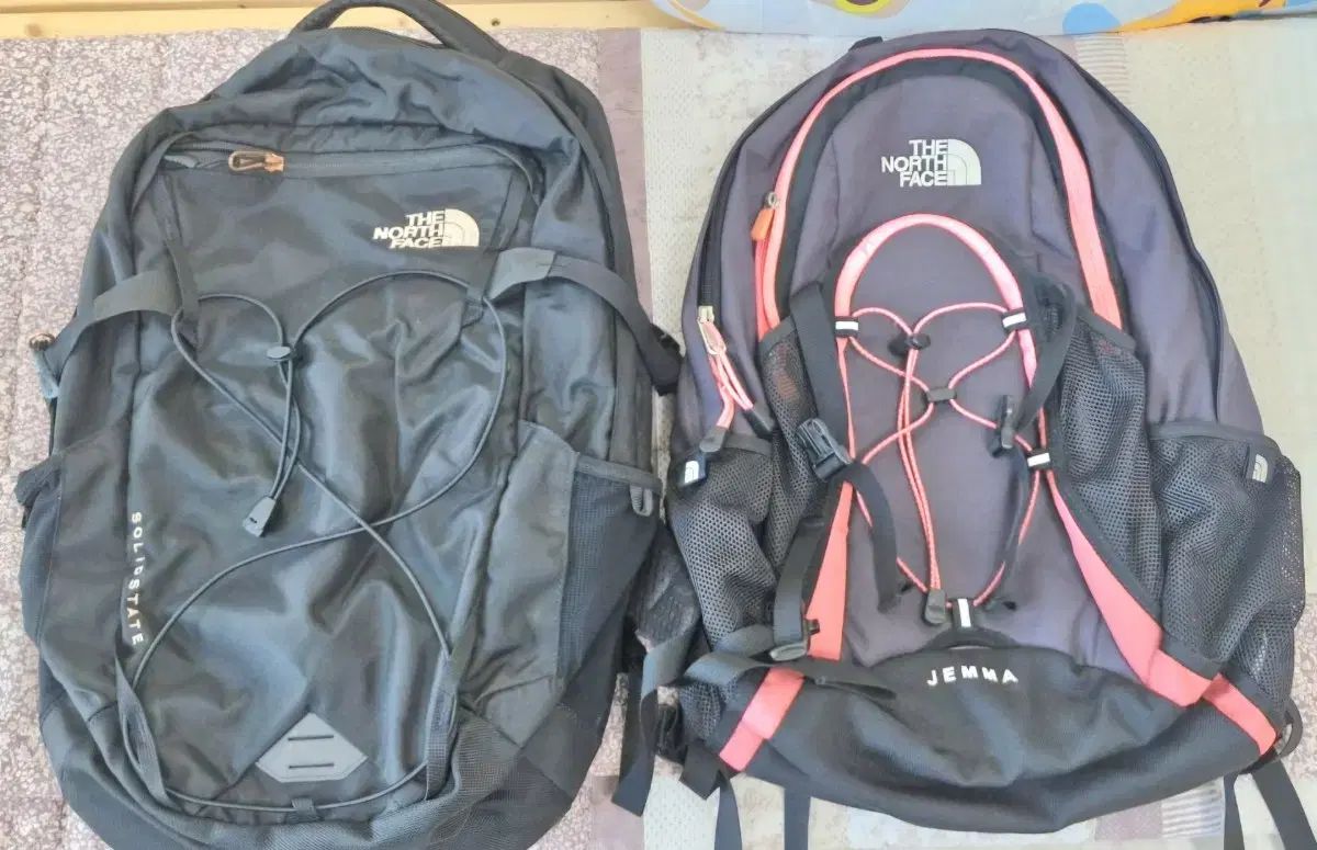 THE NORTH FACE ザ ノース フェイス バックパック 男性 女性 2 犬