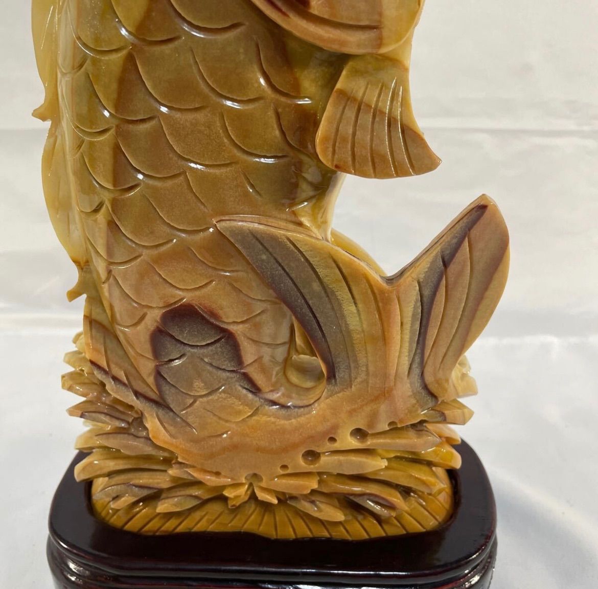 鯉