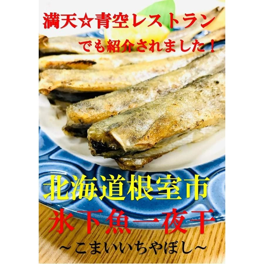 kakiya【北海道 根室産☆ コマイ 一夜干し 1kg】Ｍsサイズ  化粧箱入り 北の美味しさ！満天☆青空レストランでも紹介されました！ 氷下魚 こまい 干物