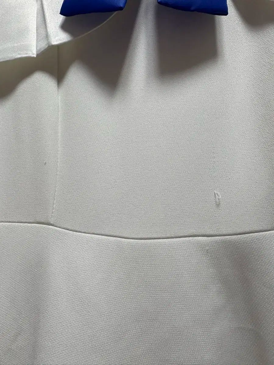 美園ミカ コスプレ