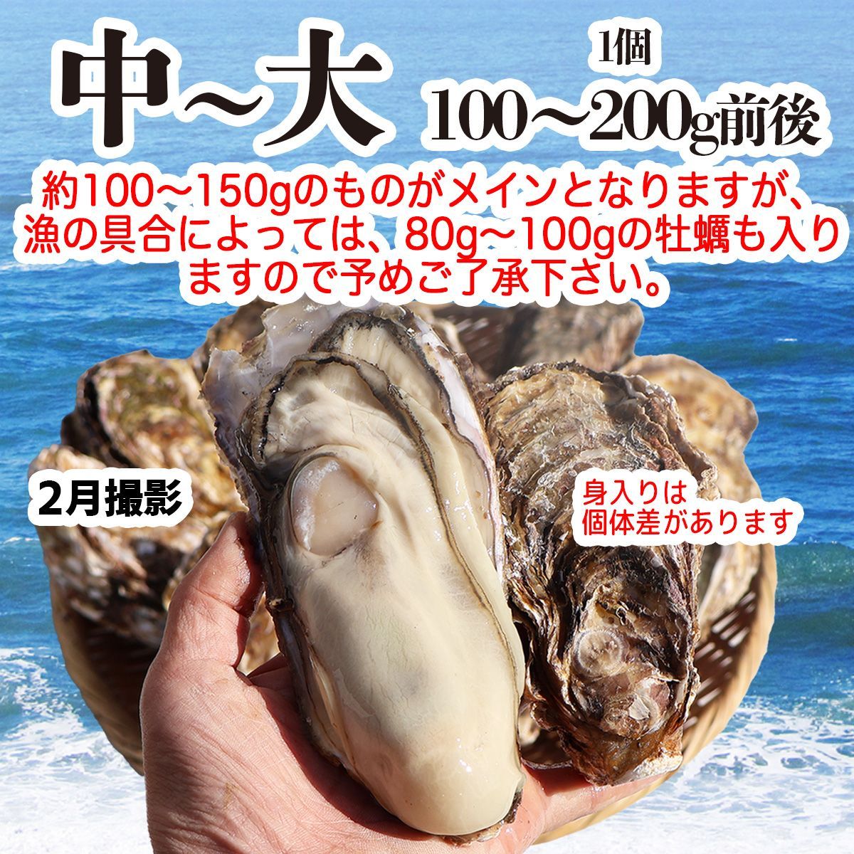海鮮 貝