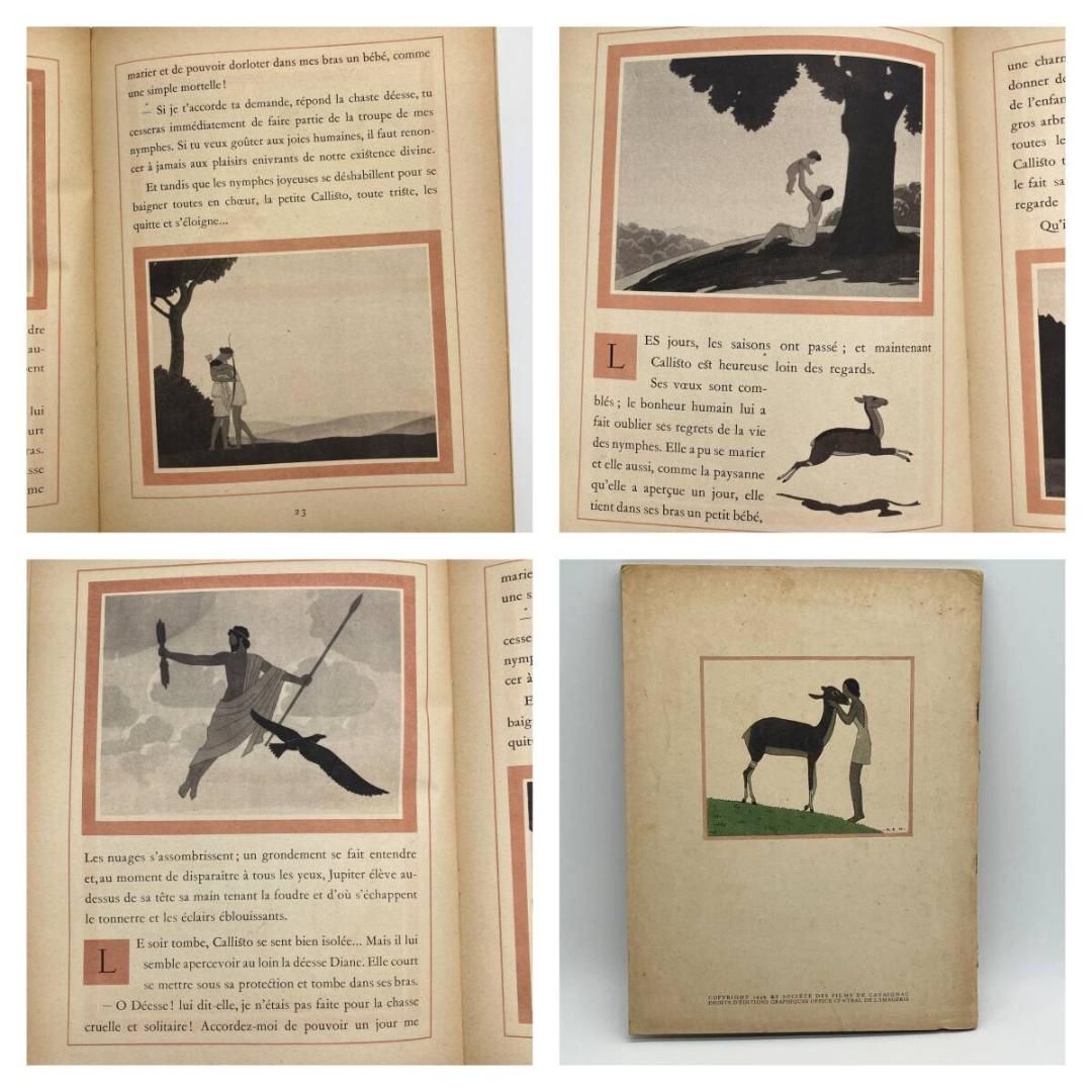 セミハードカバー