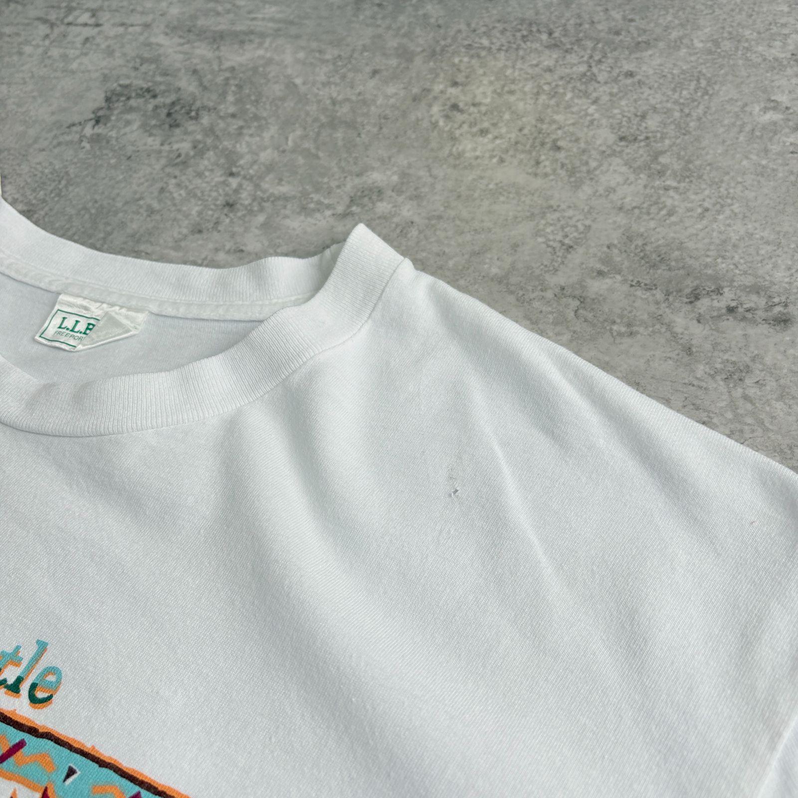 90s L.L.Bean Atlantic Ridley Turtle Printed T-shirt エルエルビーン
