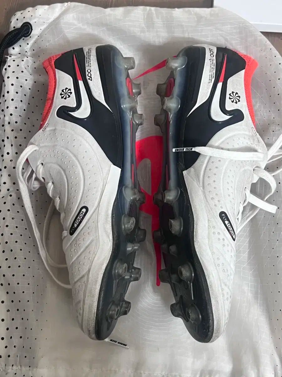 ナイキ ティエンポ レジェンド 10 エリート Ag 270