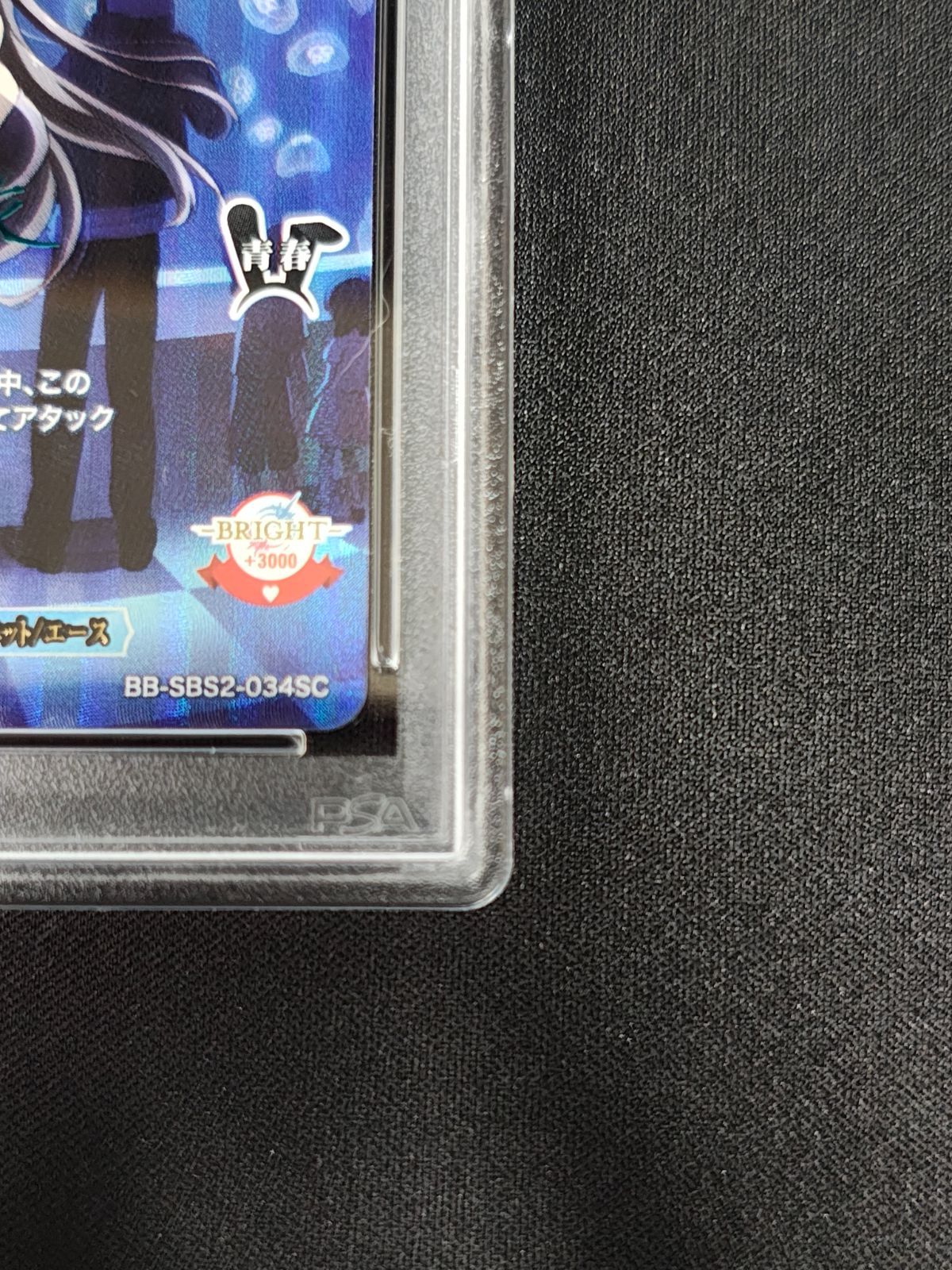 シュレディンガーの兎 桜島麻衣SC