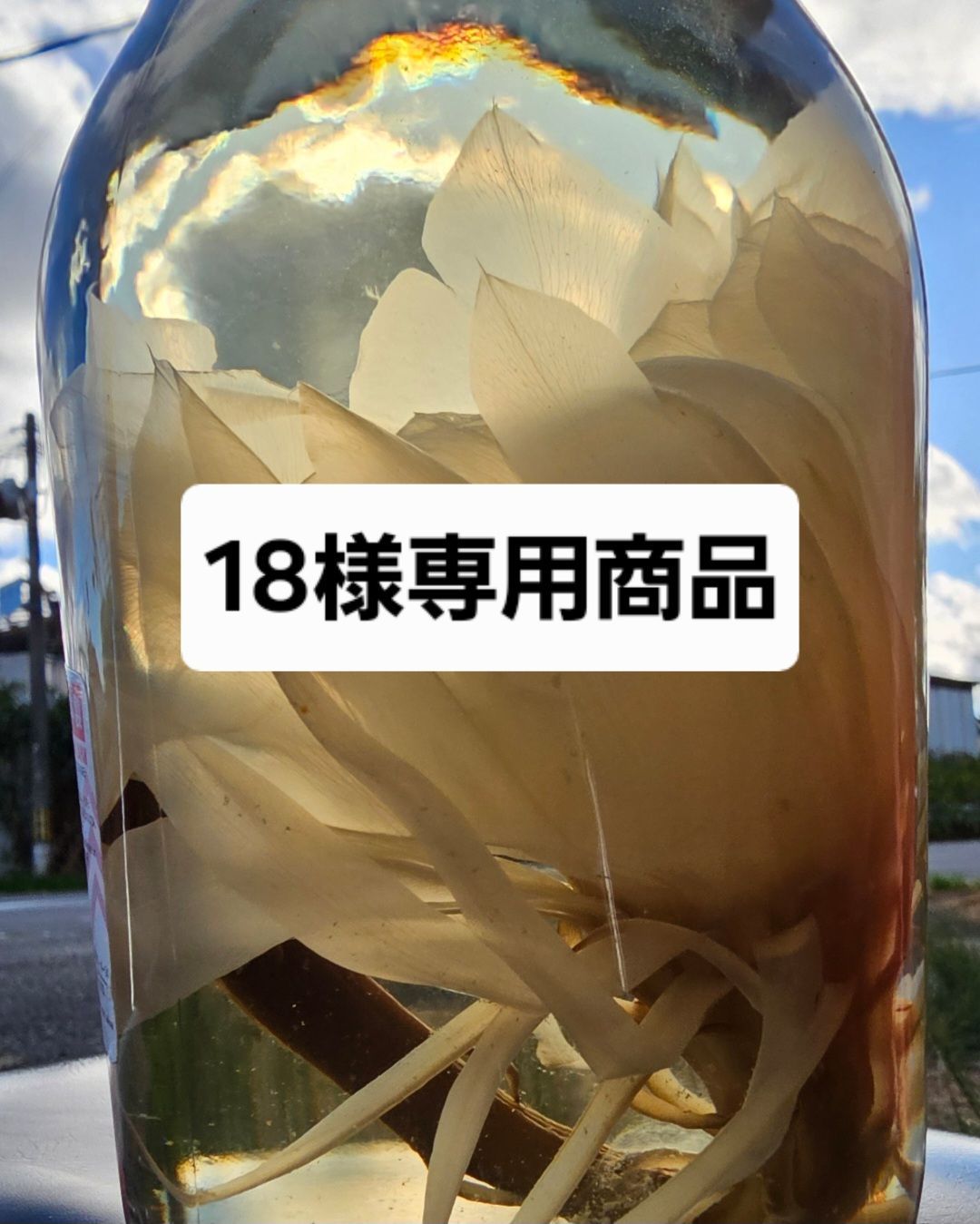 18様専用　注文商品